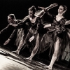 DIF2014 - Dance Parade International - Foto di Linamaria Palumbo