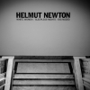 Il mondo di Helmut Newton - foto di Luca Carlino