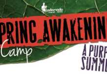 Spring Awakening Camp