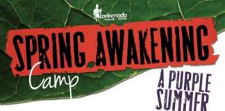 Spring Awakening Camp
