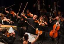 Classical Concert Chamber Orchestra