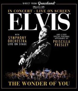 ELVIS THE WONDER OF YOU TOUR 